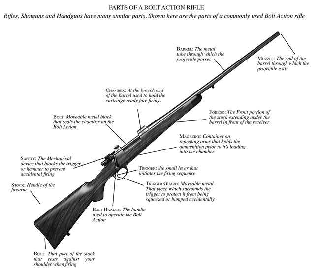 bolt action rifle parts diagram