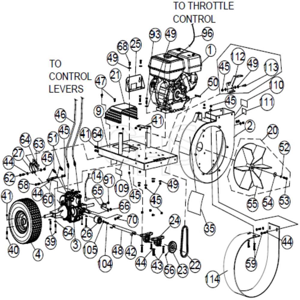 goat parts diagram