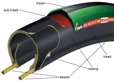 parts of a tire diagram