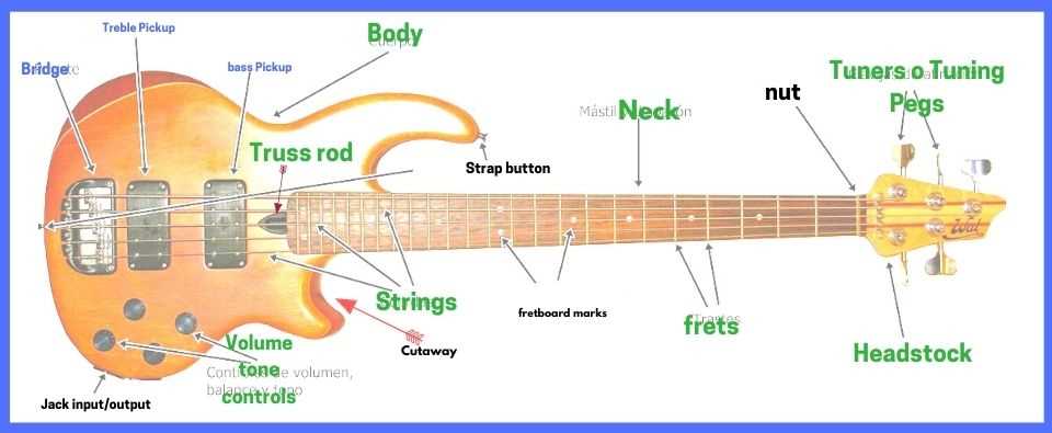 parts of a bass guitar diagram