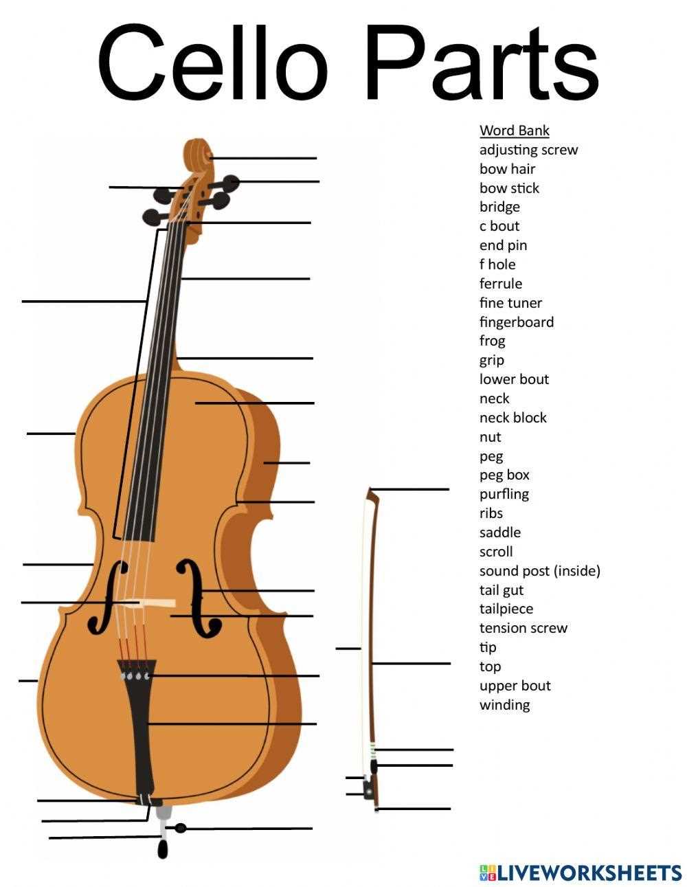 parts of cello diagram