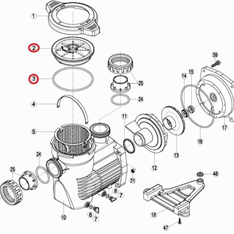 hayward pool pumps parts diagram