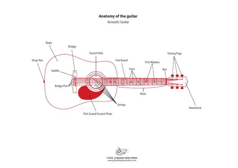 parts of a acoustic guitar diagram