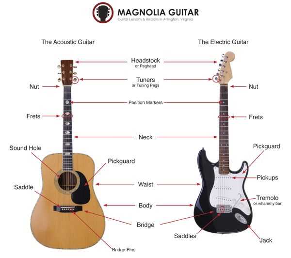 parts of a bass guitar diagram