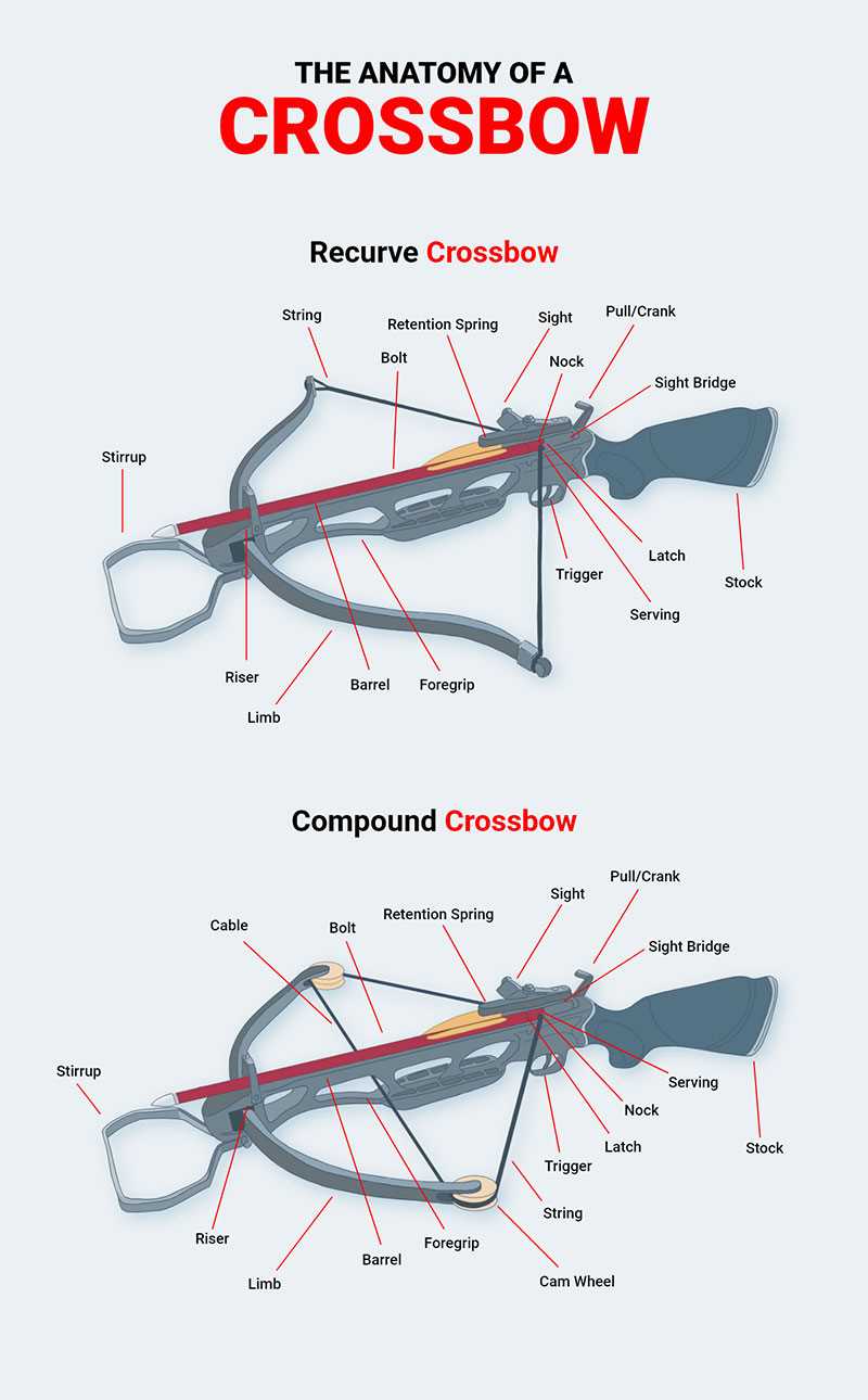 parts of a crossbow diagram