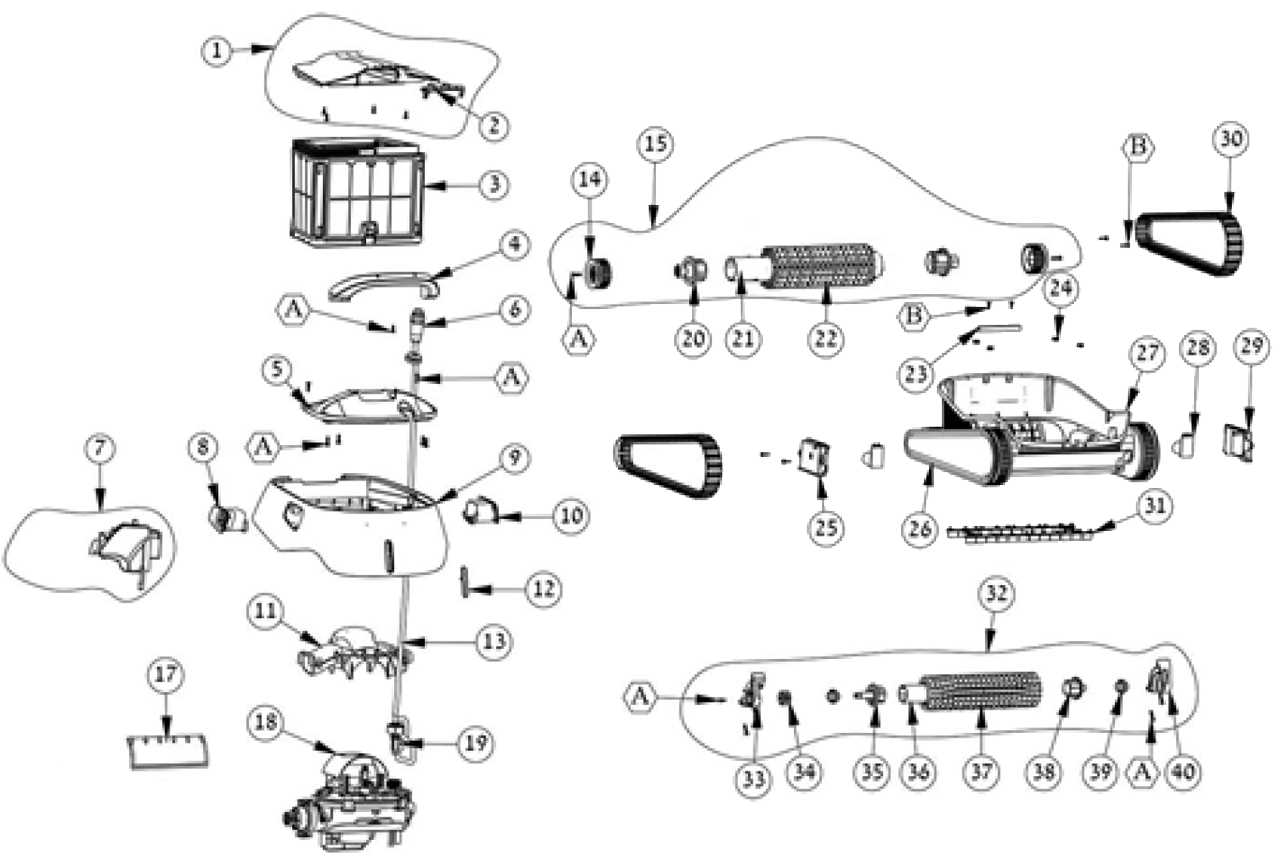 parts of a dolphin diagram