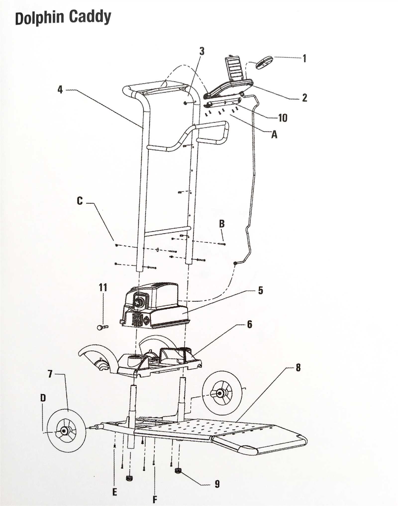 parts of a dolphin diagram