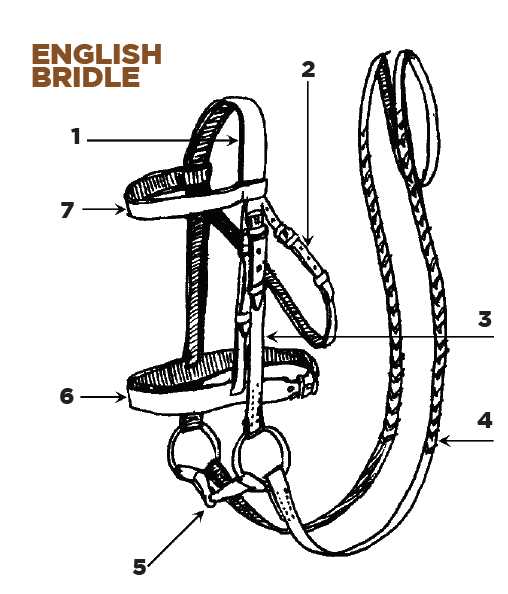 parts of a horse harness diagram