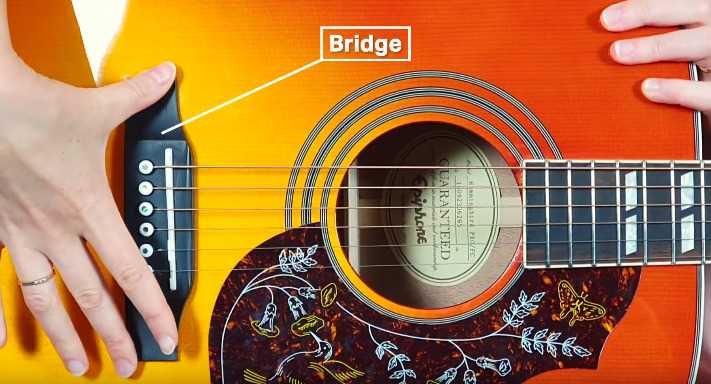 parts of acoustic guitar diagram