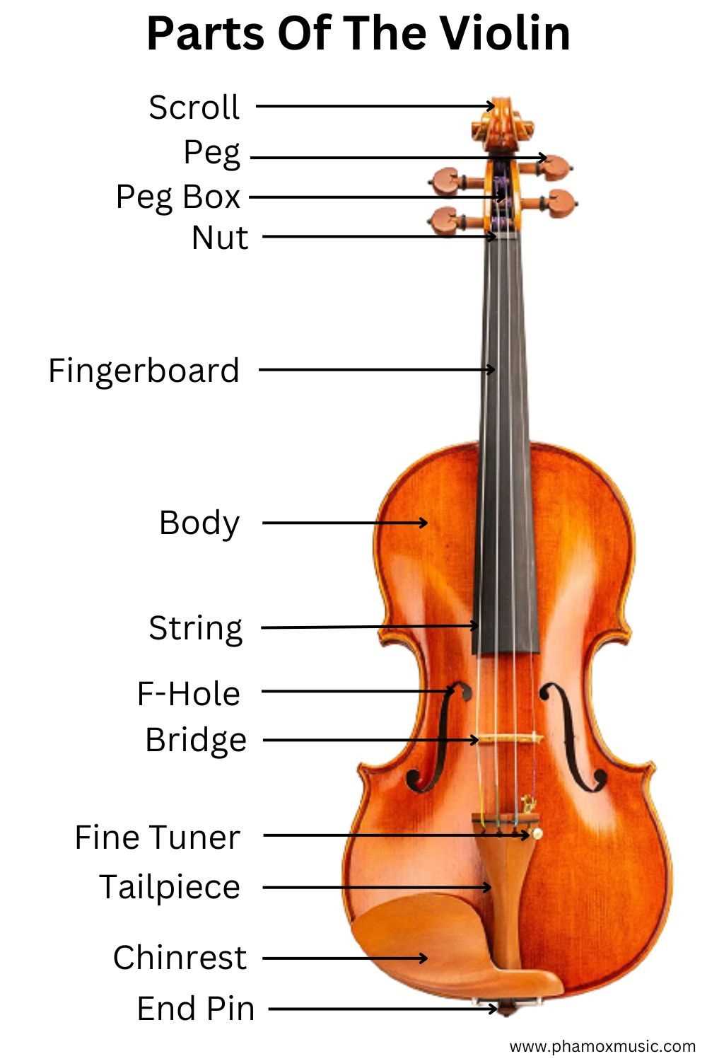 parts of cello diagram