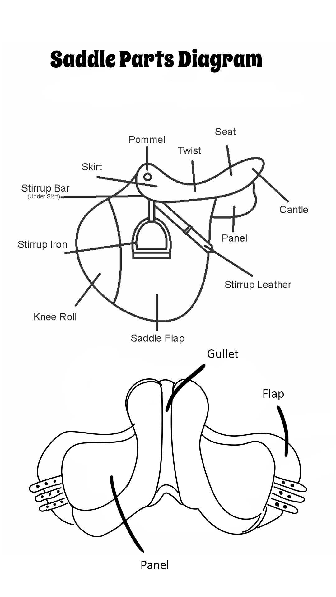 parts of the saddle diagram