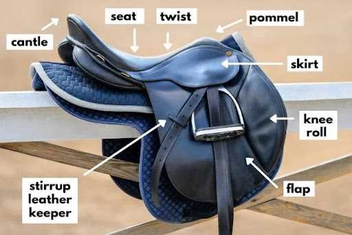 parts of the saddle diagram