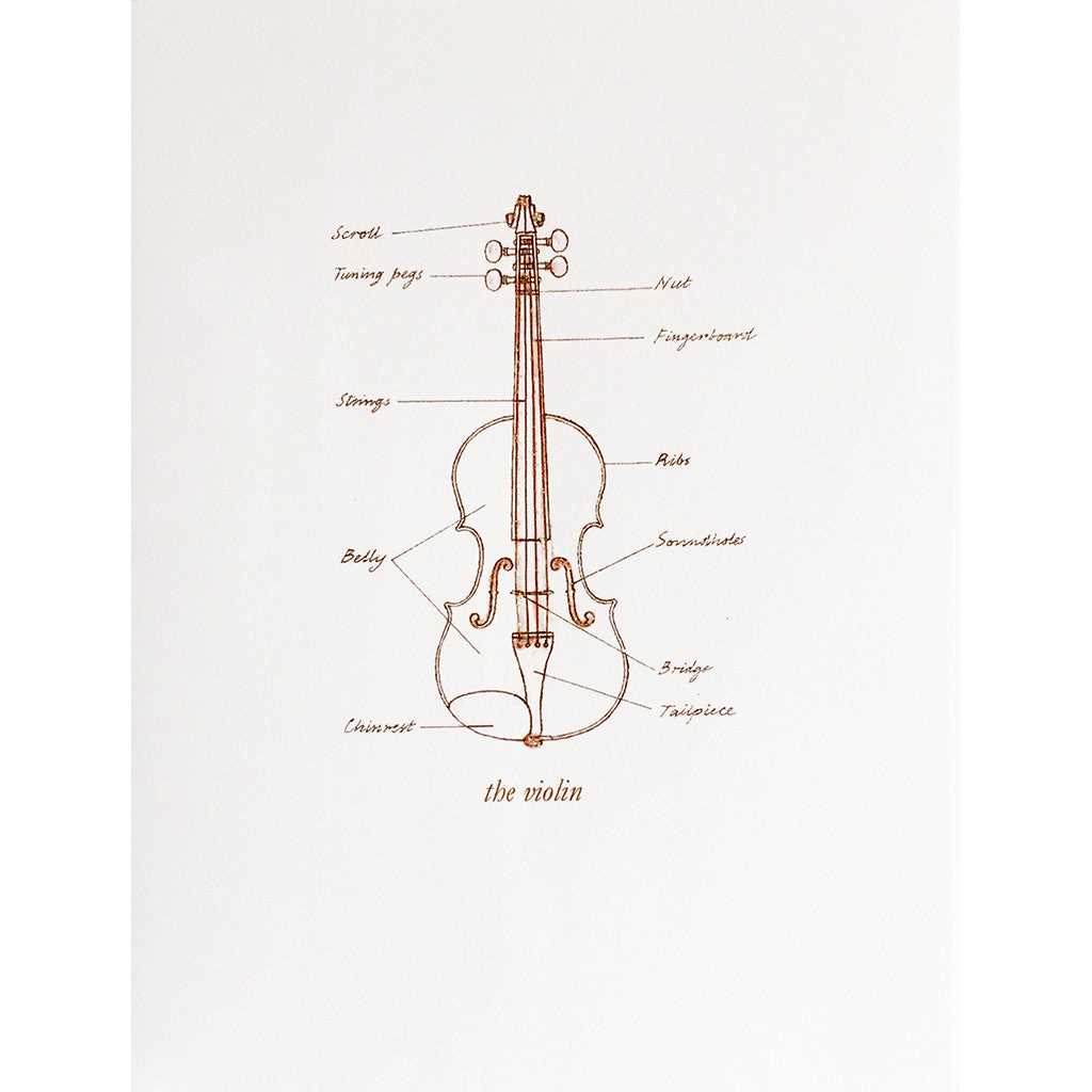 parts of violin diagram