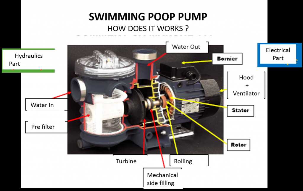 pool pump motor parts diagram