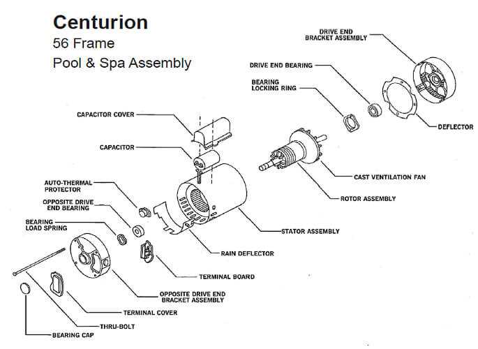 pool pump motor parts diagram