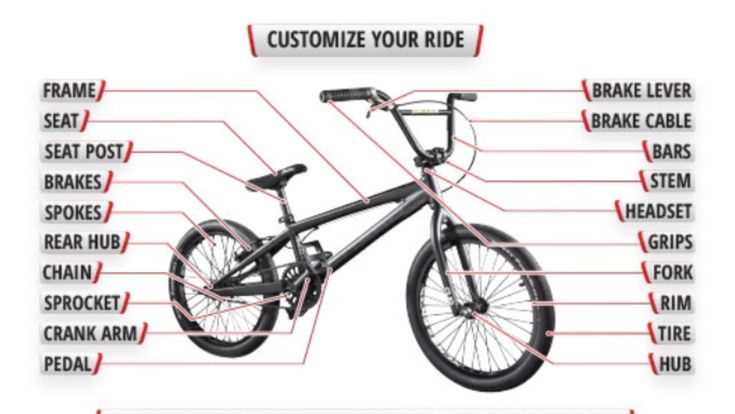 bmx bike part diagram