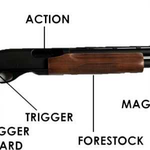 pump shotgun parts diagram