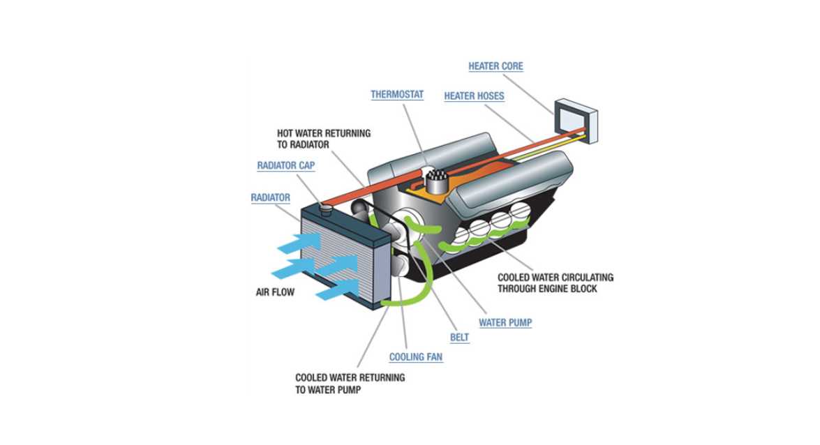 cooling system vw 2.0 engine parts diagram