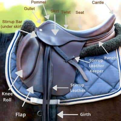 parts of the saddle diagram