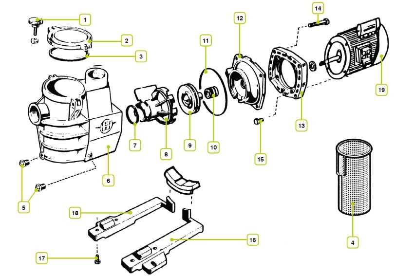 hayward pool pumps parts diagram