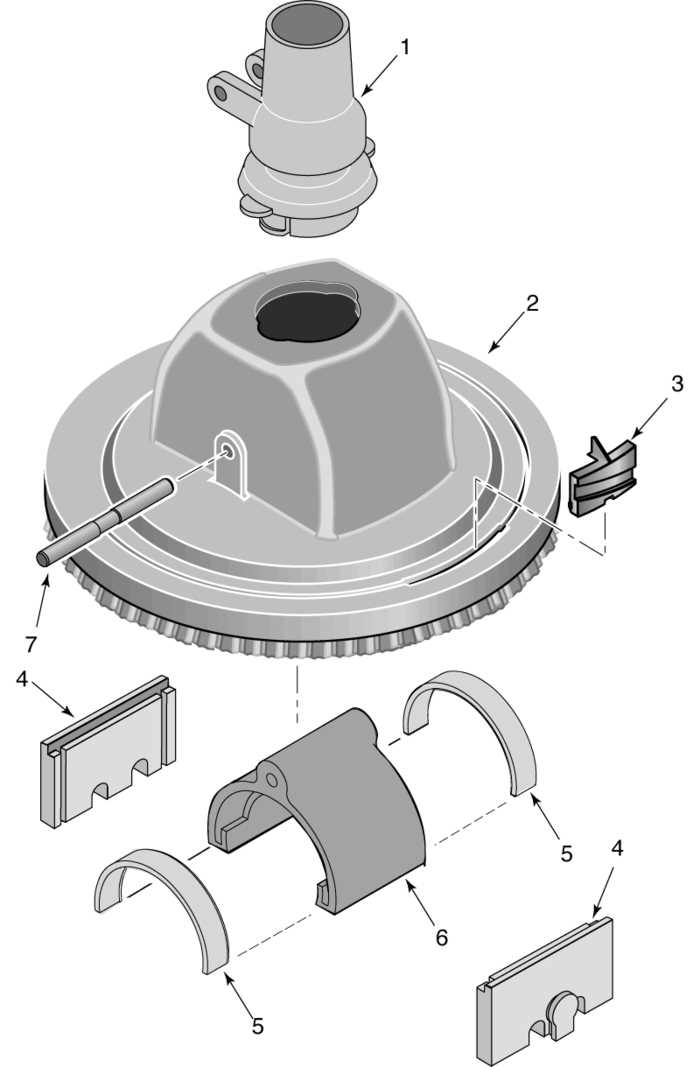 shark parts diagram