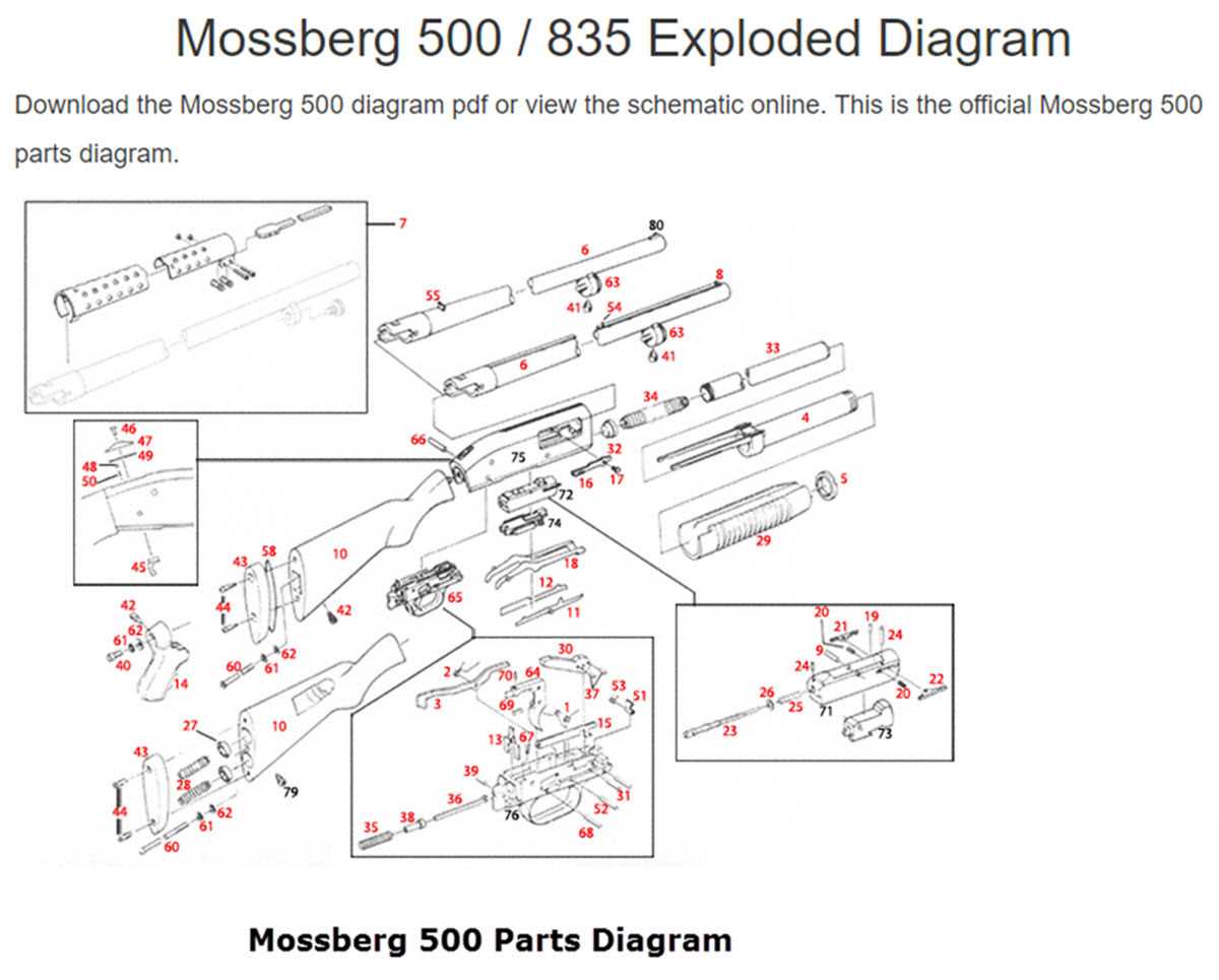 pump shotgun parts diagram