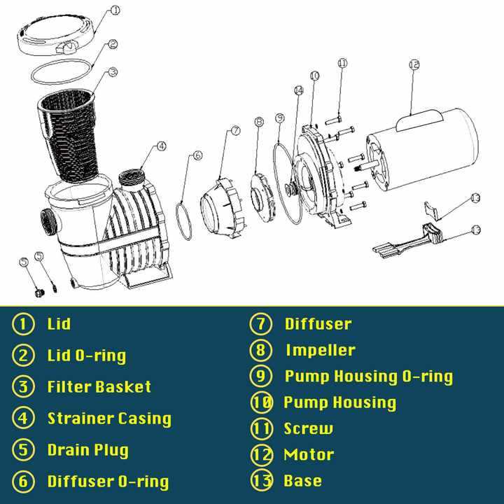 sta rite pool pump parts diagram