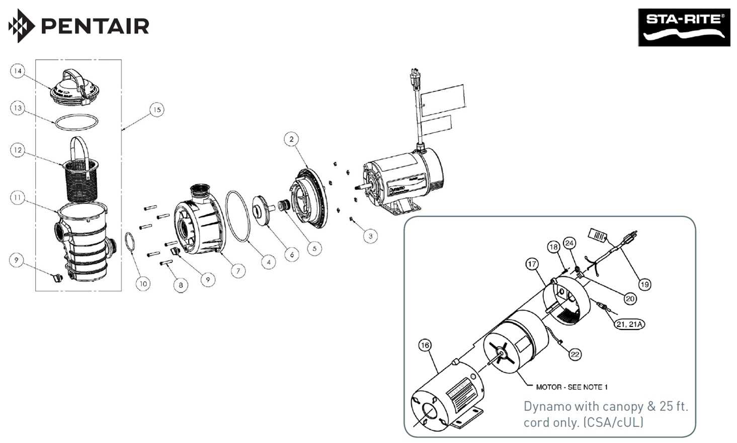 sta rite pool pump parts diagram