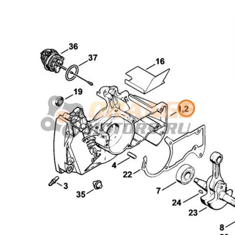 stihl ms260 parts diagram