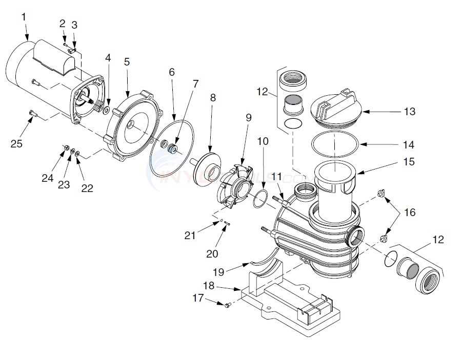 swimming pool pump parts diagram