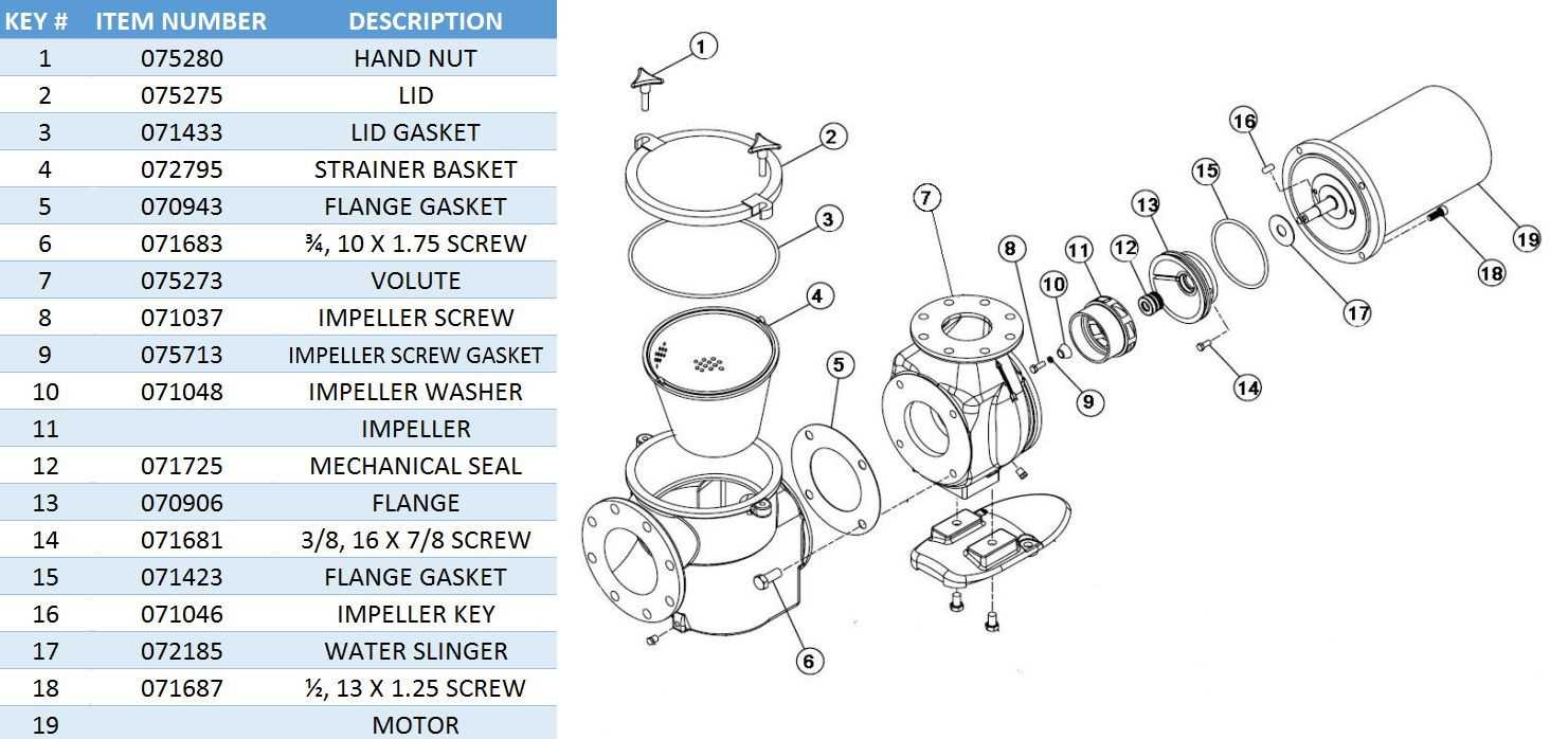 swimming pool pump parts diagram