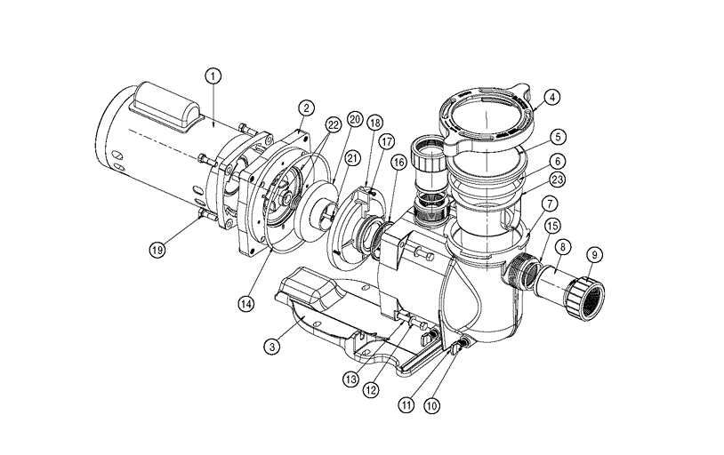 swimming pool pump parts diagram