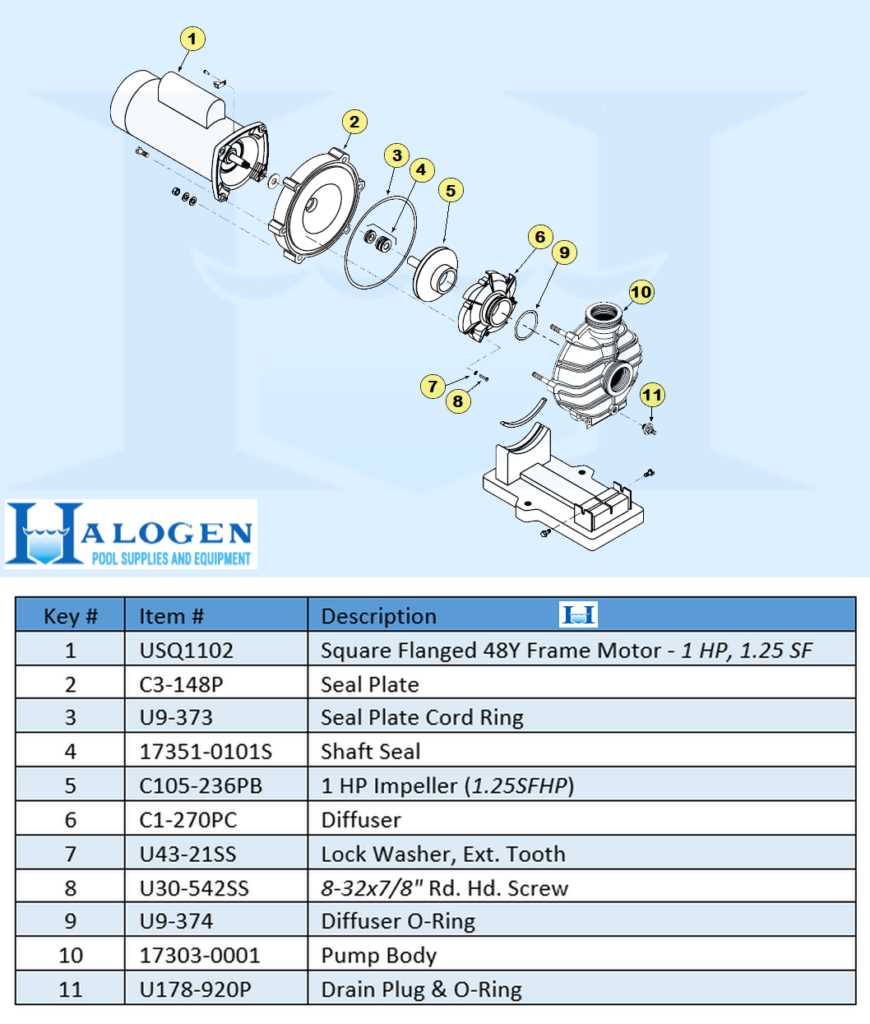 swimming pool pump parts diagram