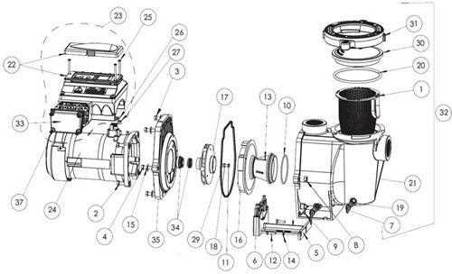 swimming pool pump parts diagram