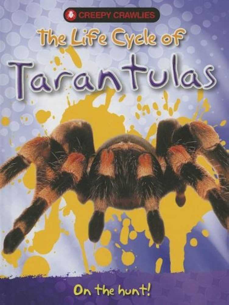 tarantula parts body diagram