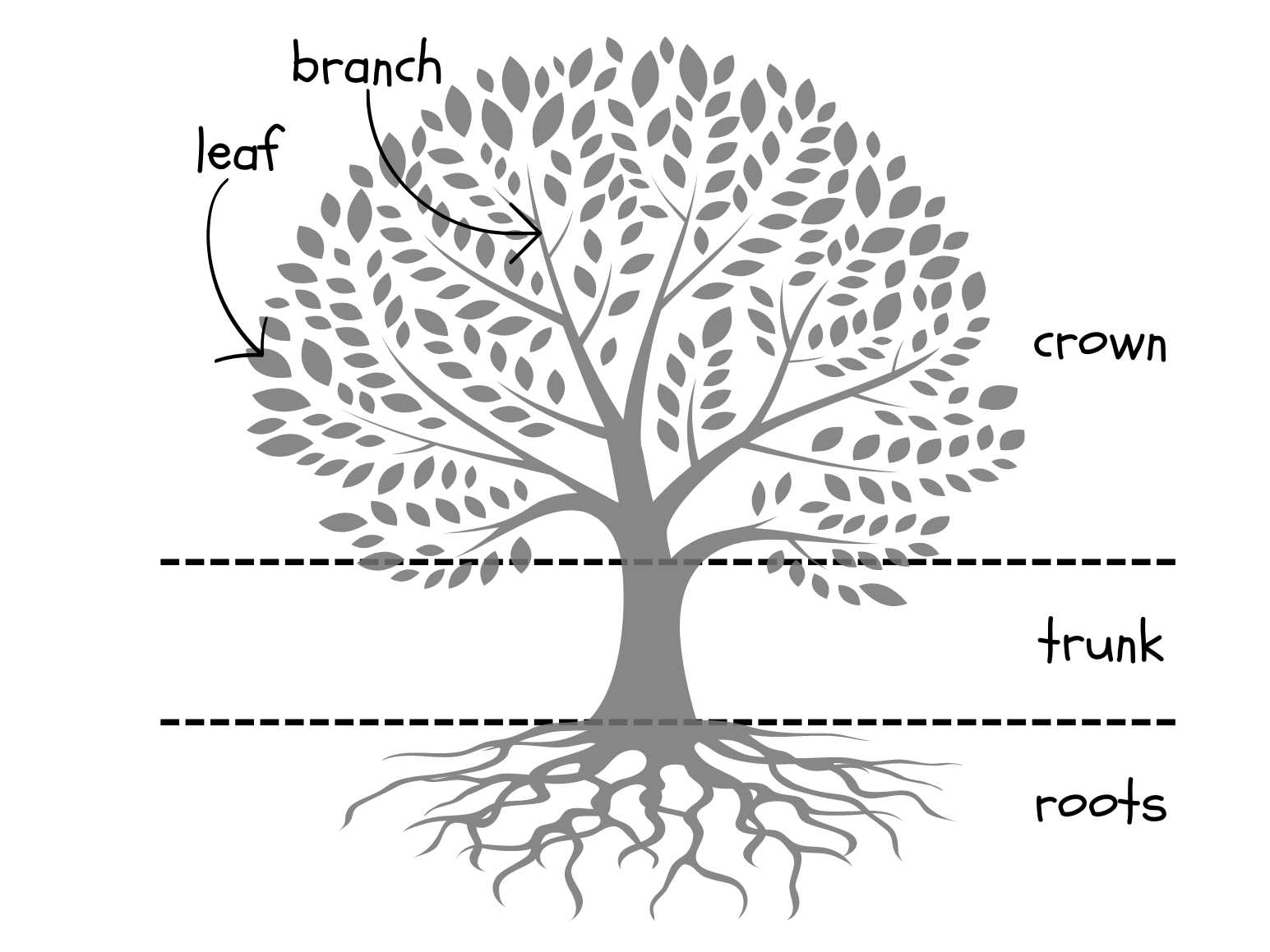 tree body parts venn diagram