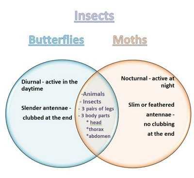 trees and body parts venn diagram