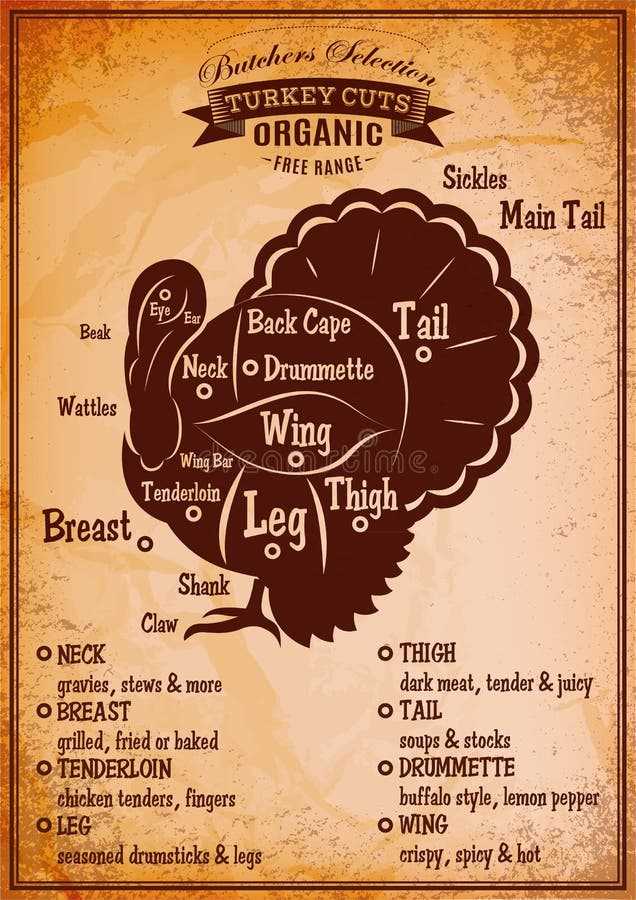 turkey parts diagram