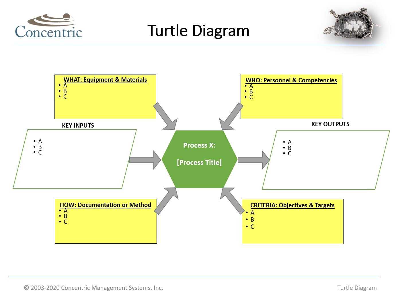 turtle parts diagram