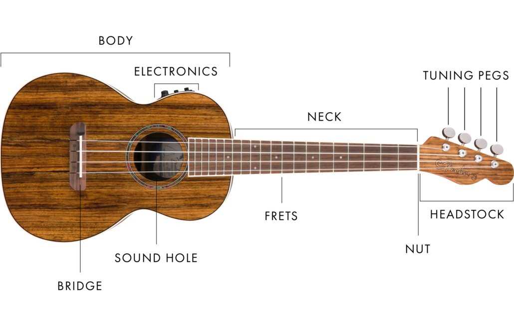 ukulele parts diagram