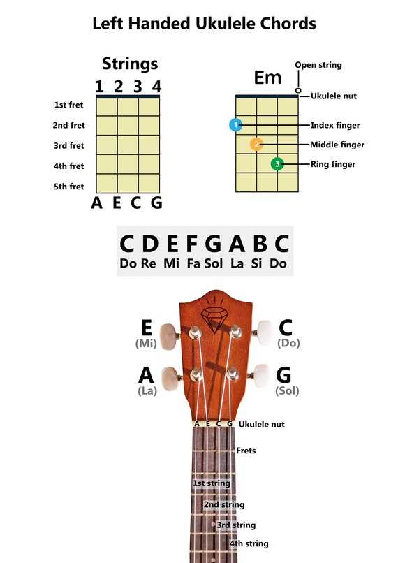 ukulele parts diagram