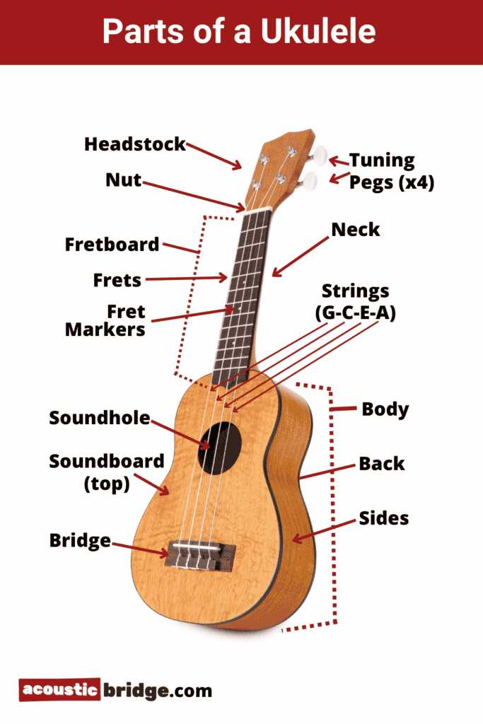 ukulele parts diagram