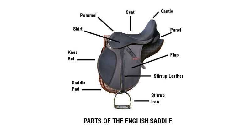 english saddle parts diagram