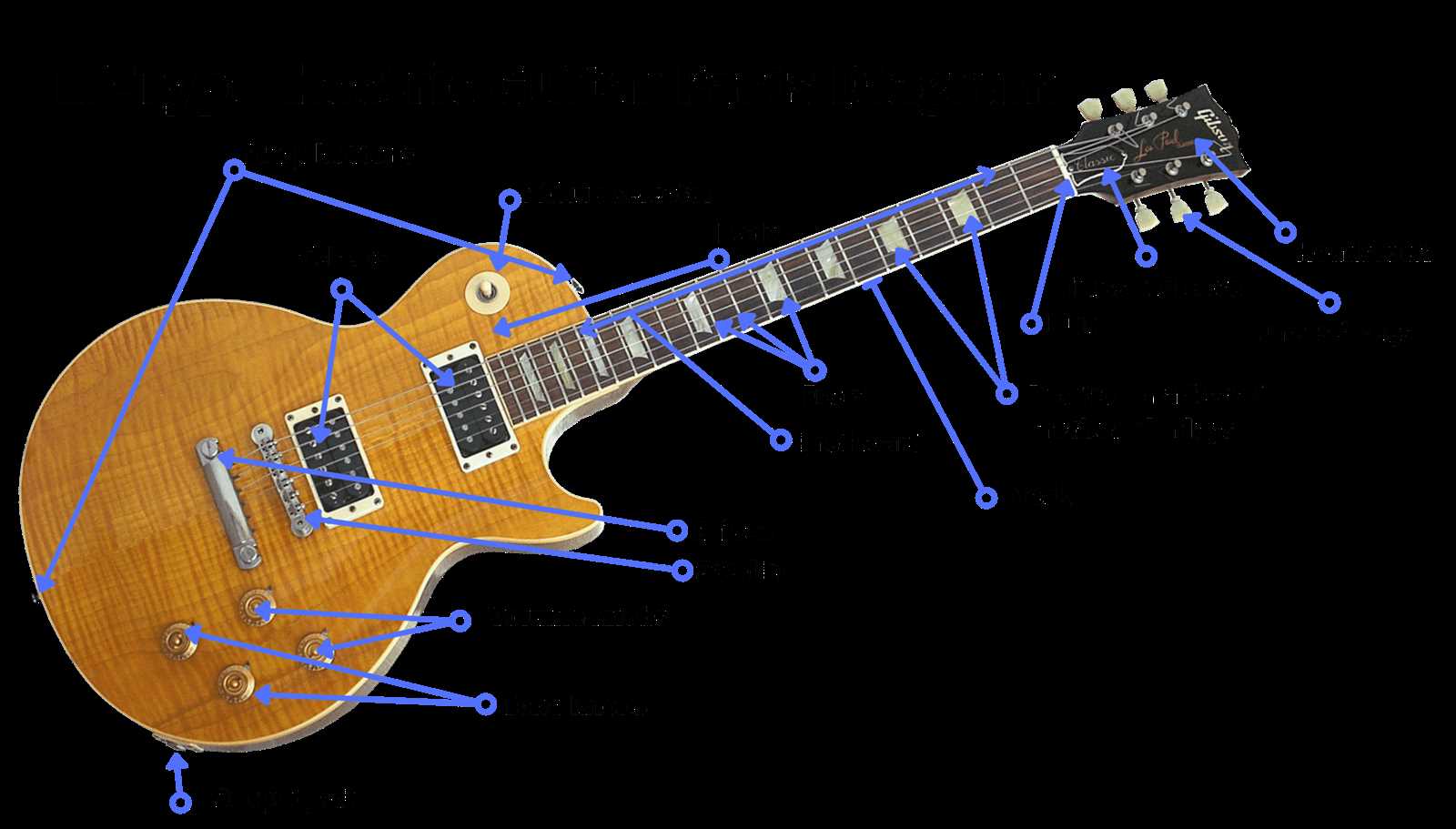 acoustic guitar parts diagram