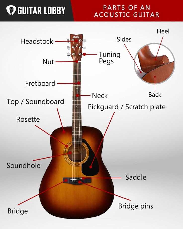 parts of a acoustic guitar diagram