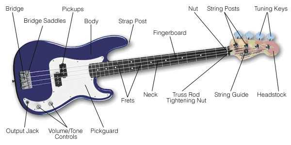 parts of a bass guitar diagram