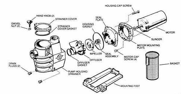 pool pump parts diagram