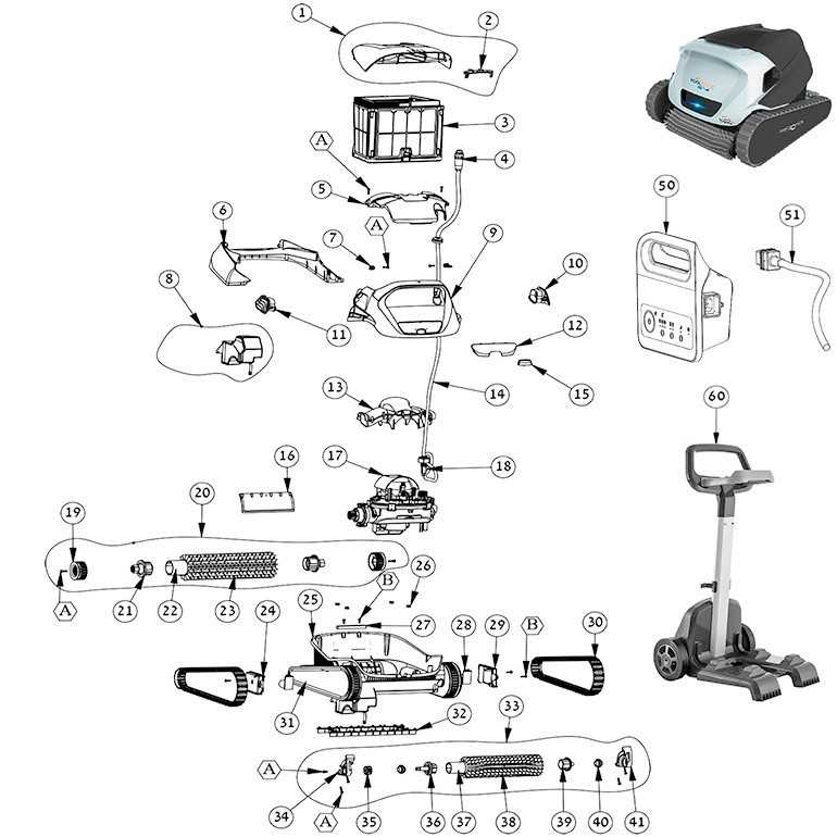 parts of a dolphin diagram