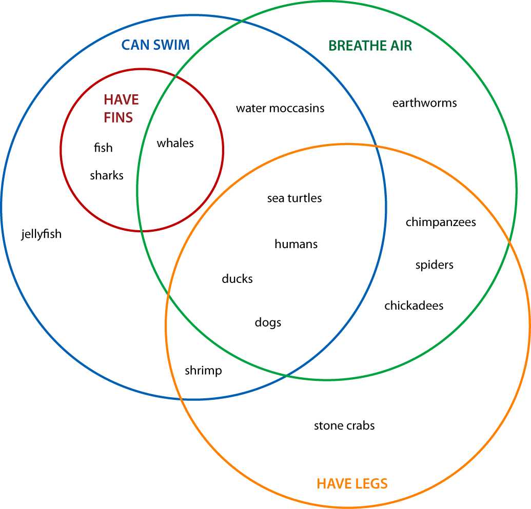 venn diagram trees body parts