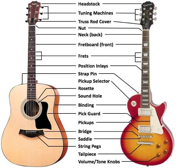 parts of a acoustic guitar diagram